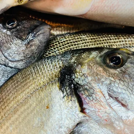 Dalla Nonna Nocleg ze śniadaniem