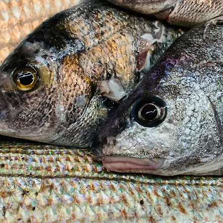 达拉瑙那住宿加早餐旅馆 住宿加早餐酒店 马蒂纳塔